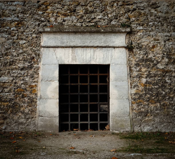 una porta con barre di ferro arruggino - come un ingresso a una prigione, una tomba o un'antica prigione - basement spooky cellar door foto e immagini stock