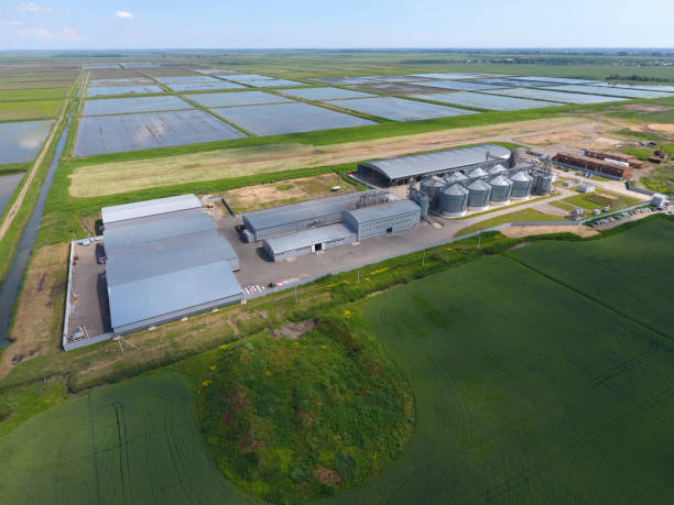 istock Plant for the drying and storage of grain. Top view. Grain terminal. 831584770