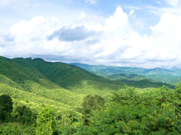 istock Landscape of green mountain range 831585174