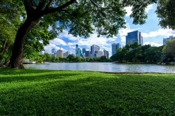 Green grass field in park at city center with business buildings in Bangkok, Thailand