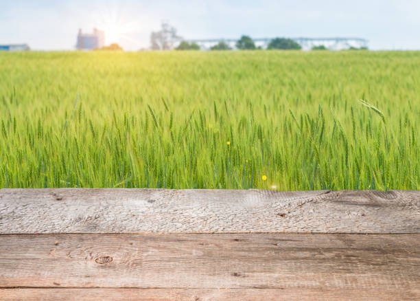 istock wood board table in front of field 831589924