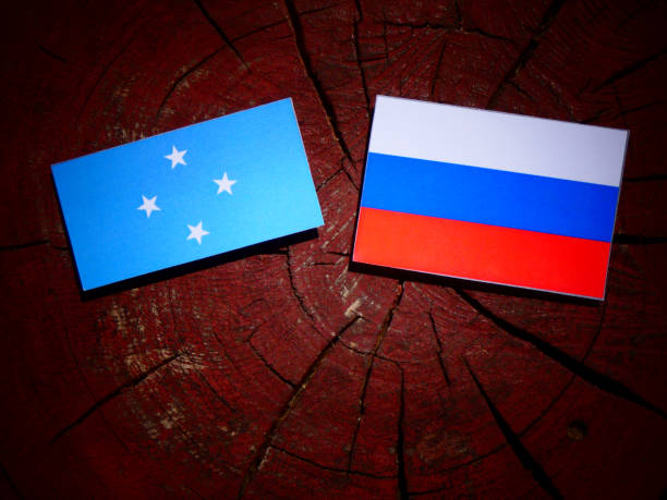 istock Micronesian flag with Russian flag on a tree stump isolated 831590046