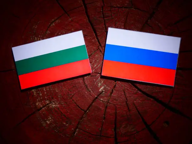 Bulgarian flag with Russian flag on a tree stump isolated