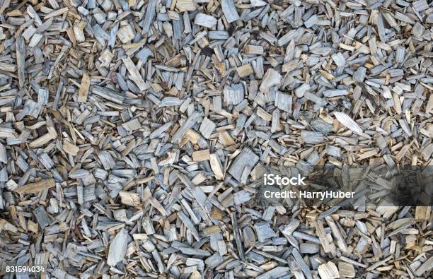 Wooden Chips Bark Mulch Stock Photo - Download Image Now - Mulch, Backgrounds, Close-up