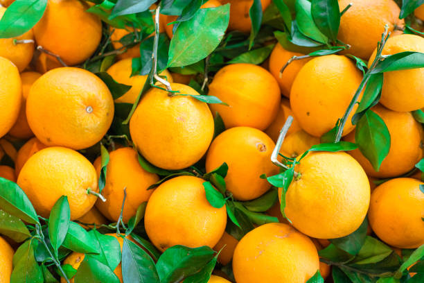 istock Closeup of sliced oranges on a market 831598280