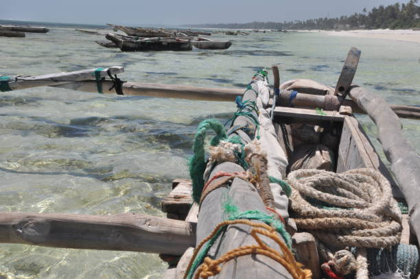 istock Zanzibar Island life 831601016