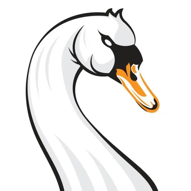 Vector illustration of swan cartoon