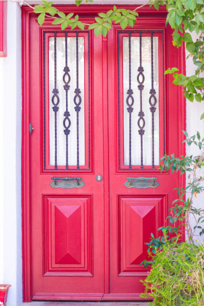 istock Red outside door with ivy leaves. 831601888