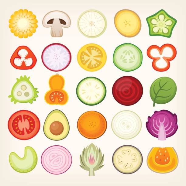 Vegetables sliced in half. Vegetable slices illustrations. Vector vegetables cut in halves. cucumber slice stock illustrations