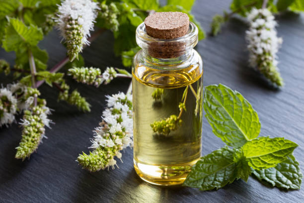 istock A bottle of peppermint essential oil 831609718