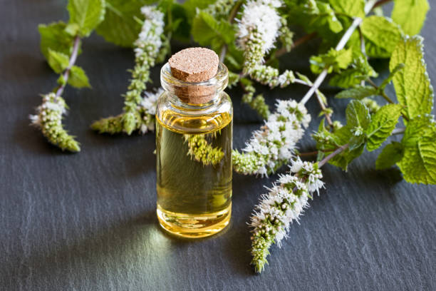 istock A bottle of peppermint essential oil 831610336