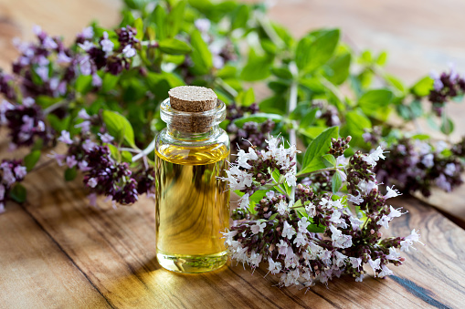 A bottle of oregano essential oil with blooming oregano twigs on a wooden background