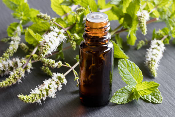 istock A bottle of peppermint essential oil 831611220
