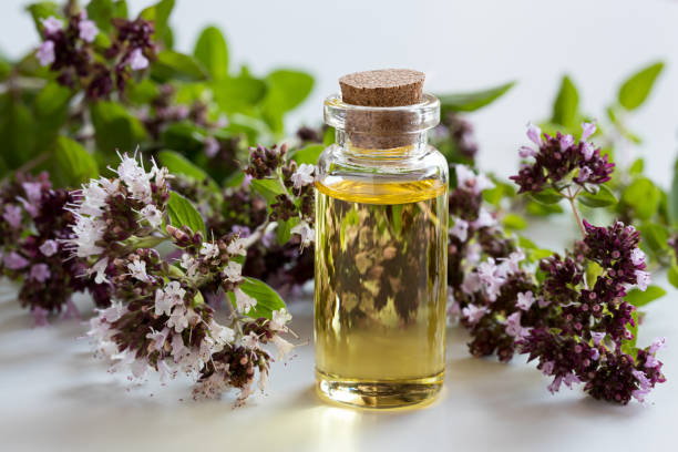 istock A bottle of oregano essential oil 831611252