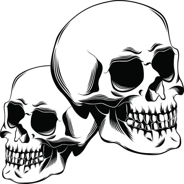 Vector illustration of Two skulls