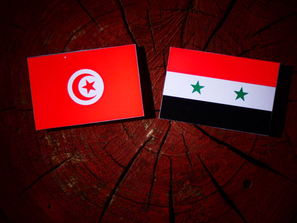 Tunisian flag with Syrian flag on a tree stump isolated stock photo