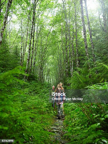 Gruppe Von Wanderern Zu Fuß Entlang Der Pfad Stockfoto und mehr Bilder von Großvater - Großvater, Vater, Wald