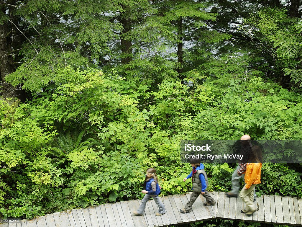 Familie zu Fuß auf den Weg durch Wald. - Lizenzfrei Wandern Stock-Foto