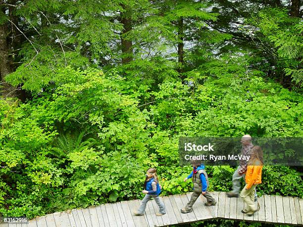 Familie Zu Fuß Auf Den Weg Durch Wald Stockfoto und mehr Bilder von Wandern - Wandern, Familie, Ansicht aus erhöhter Perspektive