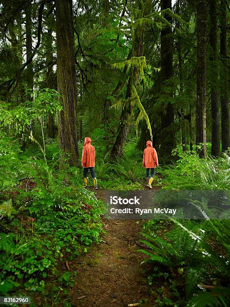 Paar Wählen Sie Verschiedene Pfade Auf Den Wald Stockfoto und mehr Bilder von Auseinander - Auseinander, Weg, Gehen