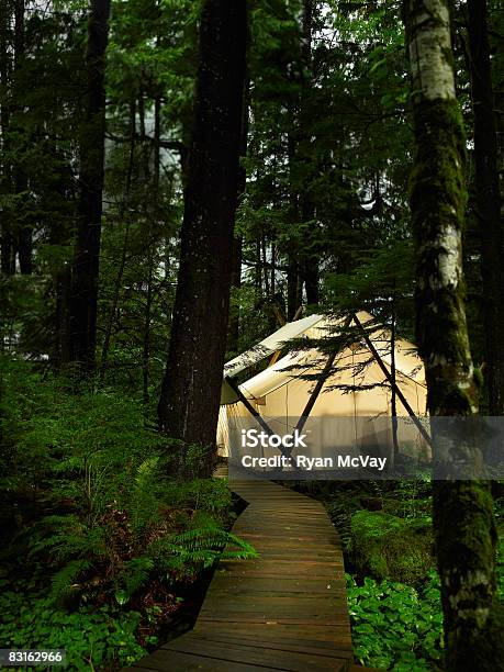 Glowing Tent In Forest Stock Photo - Download Image Now - Glamping, British Columbia, Camping