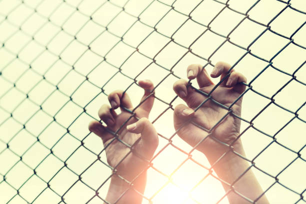istock Hand with metal fence, feeling no freedom 831631508