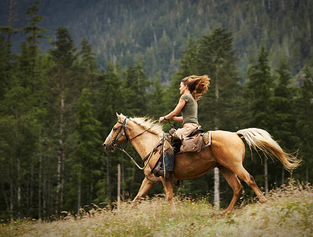 mulher dirigindo cavalo através de terreno. - mounted imagens e fotografias de stock