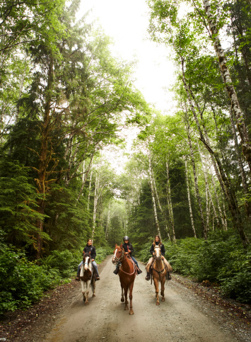 Family riding on horseback through argentinian hills. Vertical orientation. Copy space.