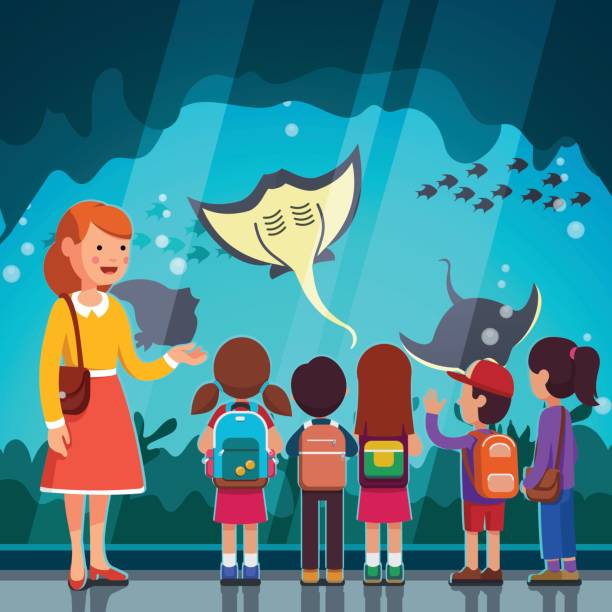Kids watching crampfish at oceanarium excursion Group of kids girls, boys watching crampfish at oceanarium aquarium excursion with woman teacher. School or kindergarten students with backpacks on filed trip together. Flat style vector illustration. field trip clip art stock illustrations