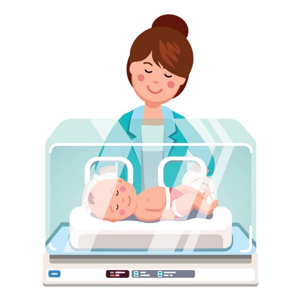 Pediatrician doctor woman examining newborn baby Pediatrician doctor woman or nurse examining little newborn baby inside medical intensive care unit incubator box. Child care clinic. Flat style vector illustration isolated on white background. nurse clipart stock illustrations