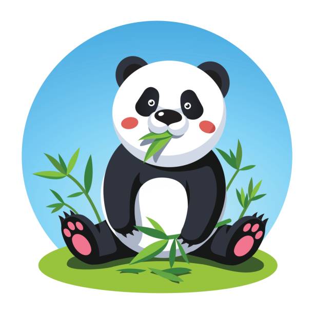 팬더 곰 앉아서 씹는 대나무 나무 잎 - panda giant panda china eating stock illustrations