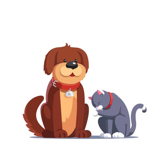 Brown dog sitting near the grey cat washing itself Brown fluffy dog pet with red collar sitting near the grey cat washing itself licking its paw. Domestic animals together. Flat style vector illustration isolated on white background. mixed breed dog stock illustrations