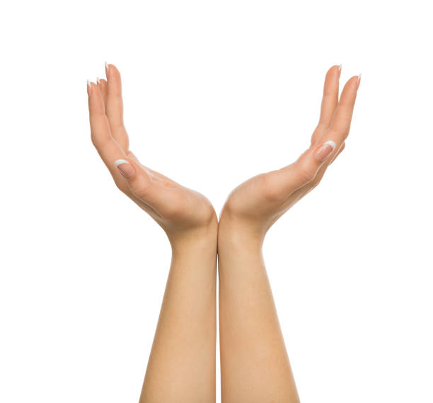 istock Woman keeping hands in cupped shape, cutout 831638192