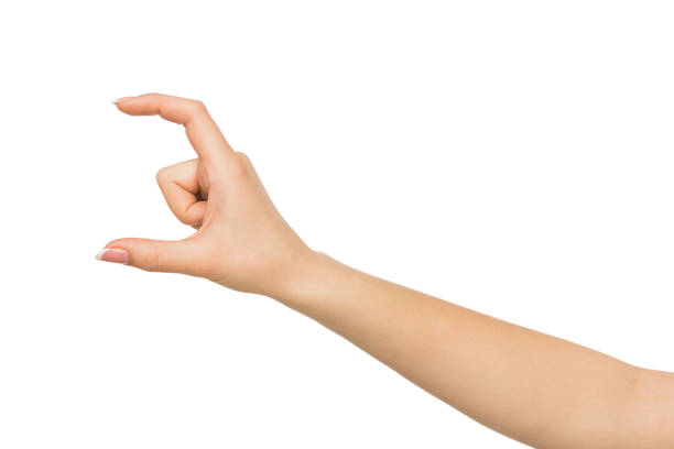 istock Female hand measuring something, cutout, gesture 831638460