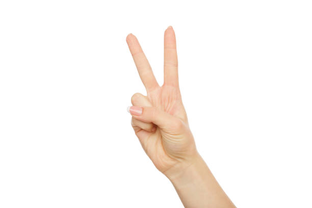 istock Woman's hand shows number two, crop, cutout 831638822