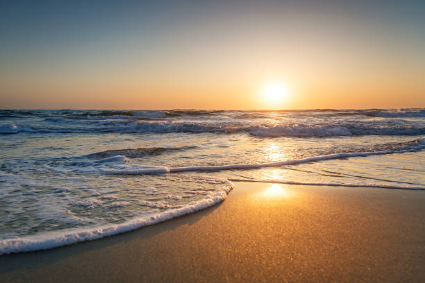istock Beautiful seascape. Composition of nature. 831640068