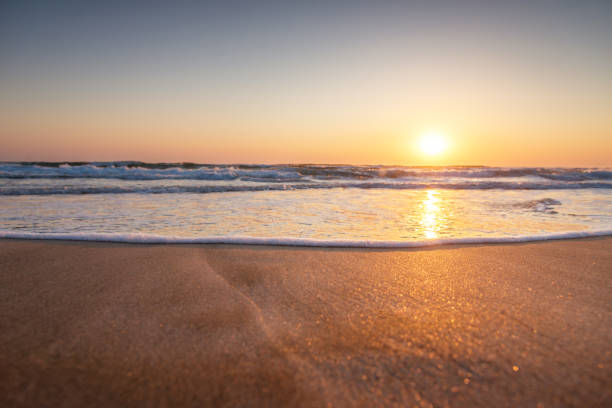 istock Beautiful seascape. Composition of nature. 831640694