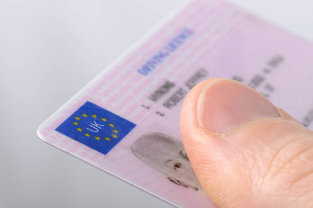 Holding out a driving license Holding out a driving license drivers license stock pictures, royalty-free photos & images