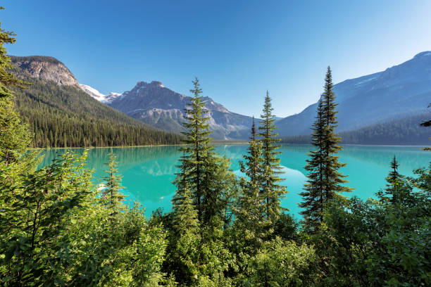 istock Emerald Lake at sunrise in Yoho National Park. 831645230