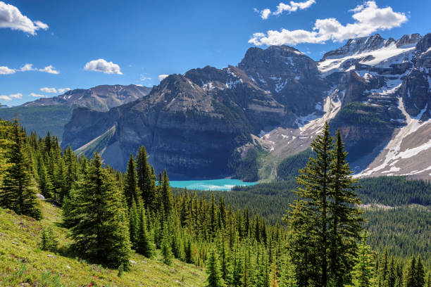 istock Canadian Rockies, Banff National Park, Canada 831645312