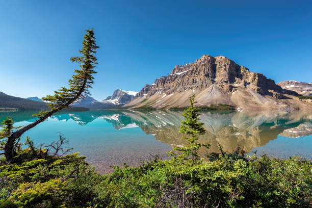 bow lake in banff national park, canada. - bow lake imagens e fotografias de stock