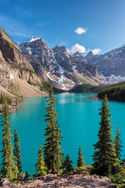 istock Moraine Lake, Banff National Park, Canada. Vertical. 831645420
