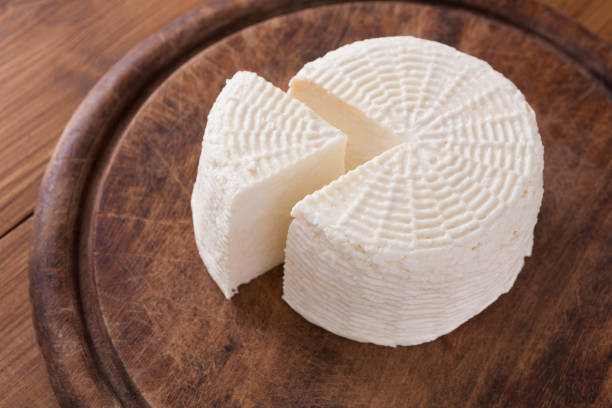 istock Cheese wheel, homemade indian paneer 831651190