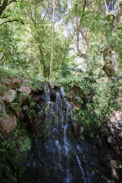 istock Waterfall in Sintra, Portugal 831651466
