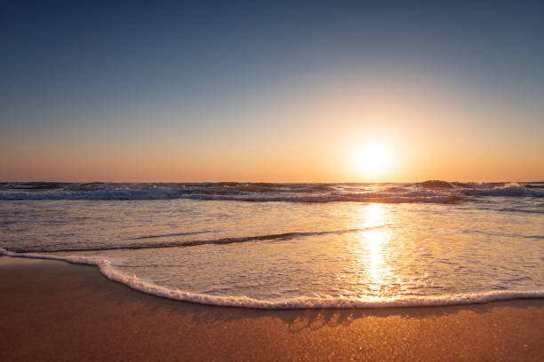 istock Beautiful seascape. Composition of nature. 831651714