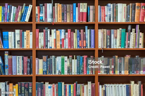 Bookshelf In Public Library Stock Photo - Download Image Now - Library, Bookshelf, Shelf