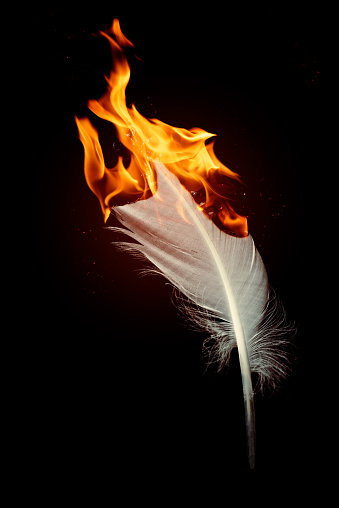 White feather in fire