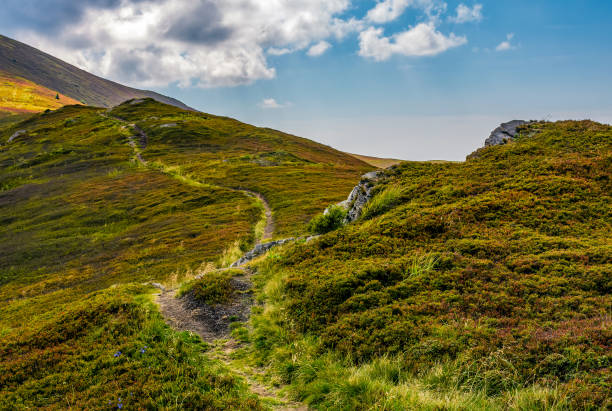 istock tourists curve path up the hill to the top 831659742