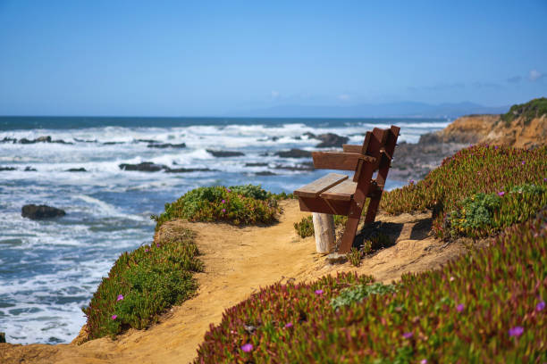 istock Bench with a view at ocean in Santa Cruz 831659916