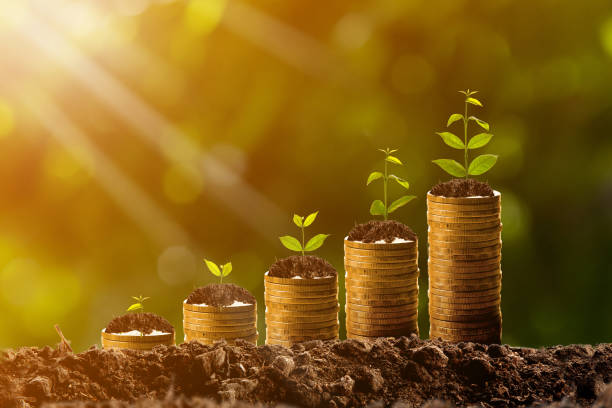 istock Money growing in soil,success concept 831660794